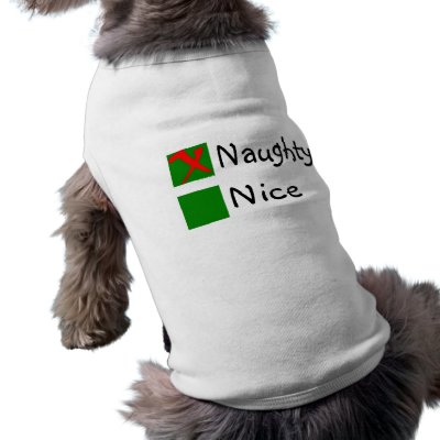 Naughty pet clothing