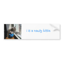 Naughty Kitten bumper stickers by Elphaba2233 Naughty Kitten bumper stickers