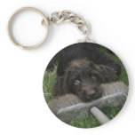 Naughty Labradoodle keychains