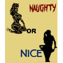 NAUGHTY/ NICE t-shirts