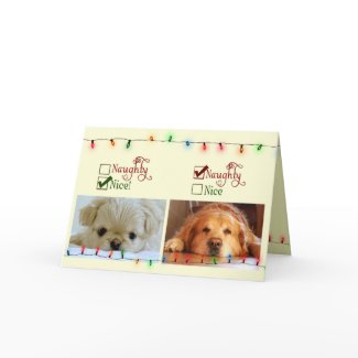 Naughty or Nice card