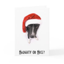 Naughty or Nice? cards by InkStudios Naughty or Nice? cards
