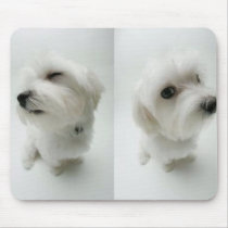 naughty-puppies mousepads by rstarkoo naughty-puppies mousepads