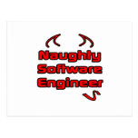 Naughty Software Engineer Post Cards