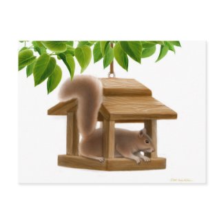 Naughty Squirrel Post Card postcard