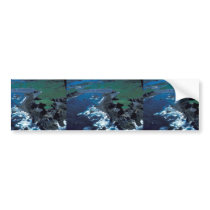Naugolka Point Coastline, Kodiak Bumper Sticker