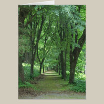 Naumkeag Path cards by BaetzStudios Naumkeag Path cards