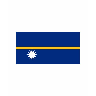 Nauru FLAG International T-shirt by flagshirt