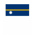 Nauru T-shirt by FlagTshirts Nauru T-shirt