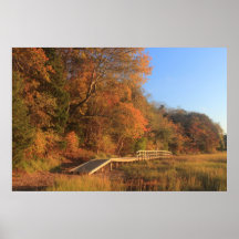 Nauset Marsh Boardwalk Autumn Light Posters