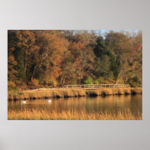 Nauset Marsh in Autumn Posters