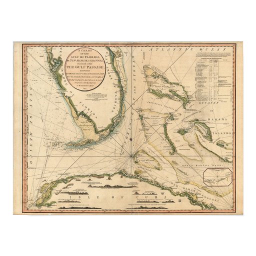 nautical chart of the gulf of florida poster zazzle nautical chart posters