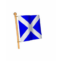 Nautical Flag 'M' Tees