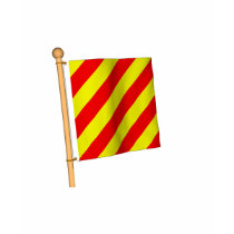 Nautical Flag 'Y' Shirt