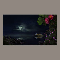 Nautical Night posters