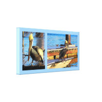 Nautical Pelicans Cartoon Art Stretched Print Stretched Canvas Print