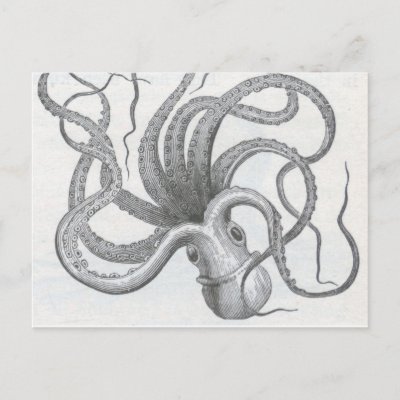 Nautical steampunk octopus vintage design postcards