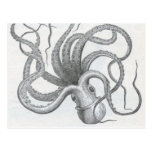 Nautical steampunk octopus vintage design postcards
