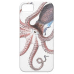 Nautical steampunk octopus vintage kraken drawing iPhone 5 case