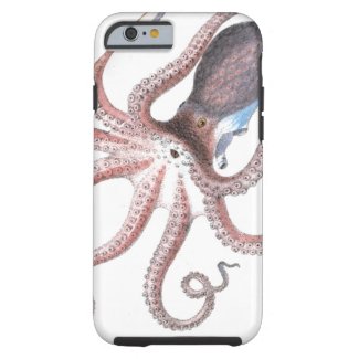 Nautical steampunk octopus vintage kraken science iPhone 6 case