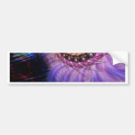 Nautilus Bumper Stickers