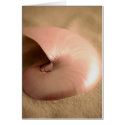 Nautilus cards