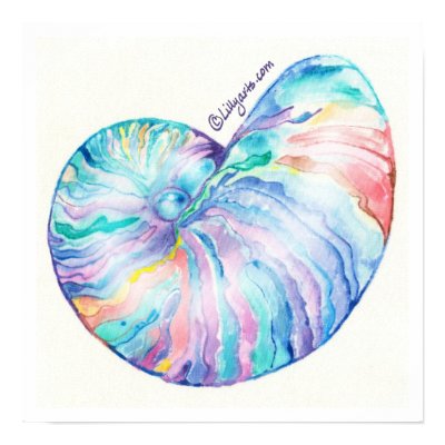 Nautilus Infinity Fine Art Print and Poster by lillyarts