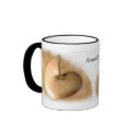 Nautilus mugs