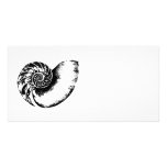 Nautilus Picture Card