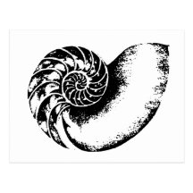 Nautilus Post Cards