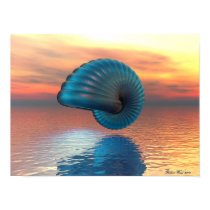 Nautilus posters by h2odog Nautilus posters