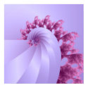 Nautilus posters