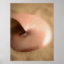 Nautilus posters