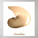 Nautilus posters