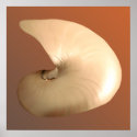Nautilus posters