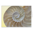 Nautilus Shell cards