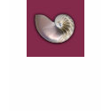 Nautilus Shell Hoodie t-shirts