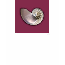 Nautilus Shell Hoodie t-shirts by deegolden Nautilus Shell Hoodie t-shirts