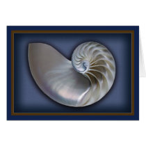Nautilus Shell horizontal 2 cards