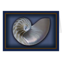 Nautilus Shell horizontal cards