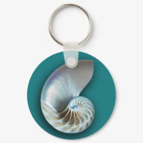 Nautilus Shell Key Chain keychains