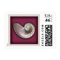 Nautilus shell on cranberry postage