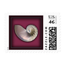 Nautilus Shell on plum postage