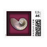 Nautilus Shell on plum Postage