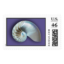 Nautilus Shell on plum postage