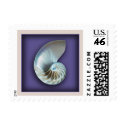 Nautilus shell on purple postage