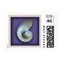 Nautilus shell on purple postage