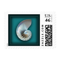 Nautilus shell on teal postage