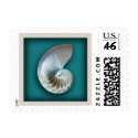 Nautilus shell on teal postage