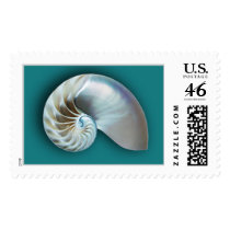 Nautilus shell on teal postage